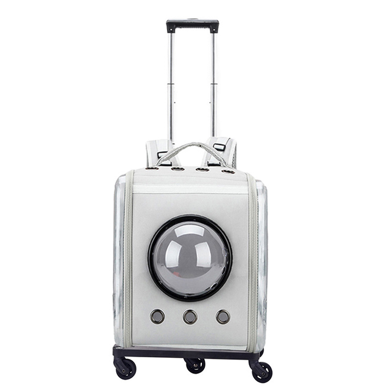 Portable transparent pet trolley case